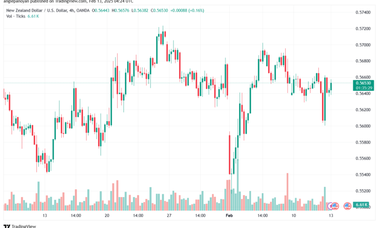 تحليل-NZDUSD-13-2-2025
