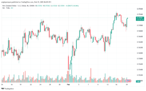 تحليل-NZDUSD-19-2-2025