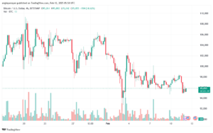 تحليل البتكوين دولار BTCUSD-12-2-2025