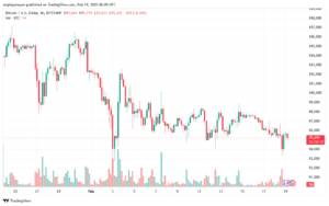 تحليل البتكوين دولار BTCUSD-19-2-2025