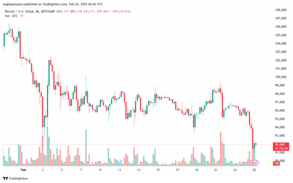 تحليل البتكوين دولار BTCUSD-25-2-2025