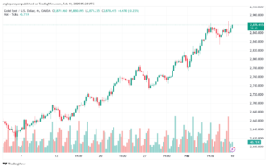 تحليل الذهب-XAUUSD-10-2-2025
