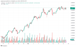 تحليل الذهب-XAUUSD-24-2-2025