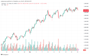 تحليل الذهب-XAUUSD-25-2-2025