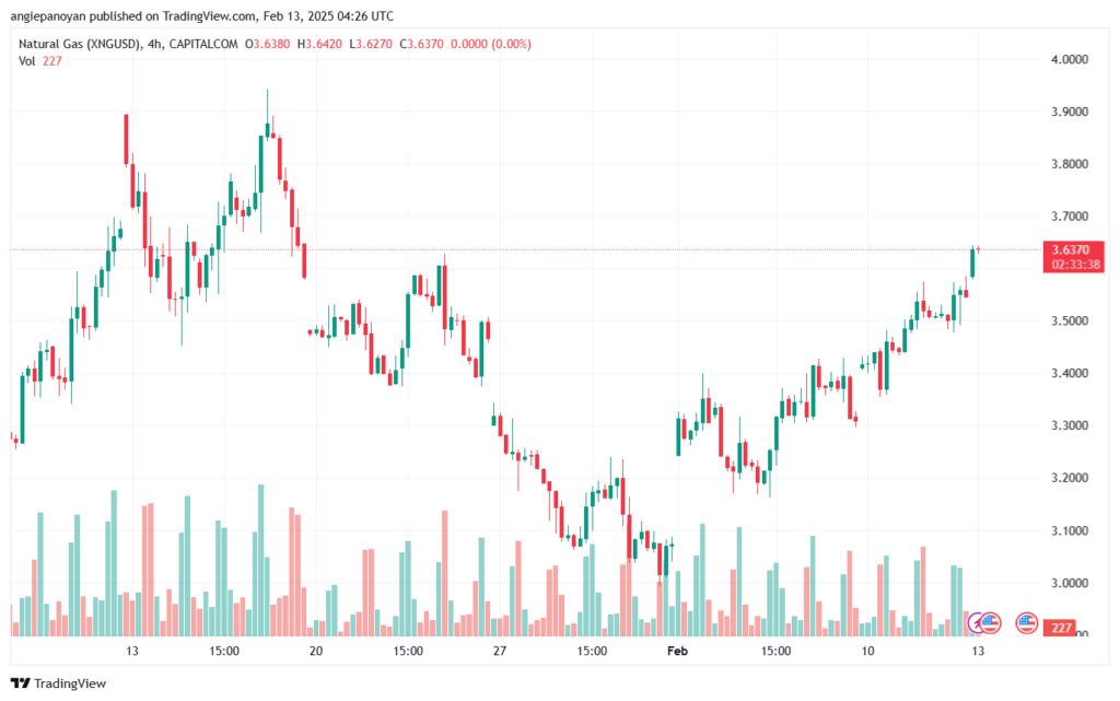 تحليل الغاز الطبيعي NATURAL GAS 13-2-2025