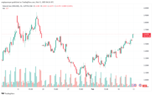 تحليل الغاز الطبيعي NATURAL GAS 13-2-2025