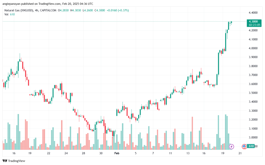 تحليل الغاز الطبيعي NATURAL GAS 20-2-2025