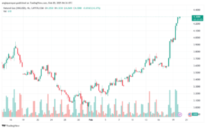 تحليل الغاز الطبيعي NATURAL GAS 20-2-2025