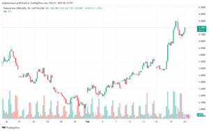 تحليل الغاز الطبيعي NATURAL GAS 21-2-2025