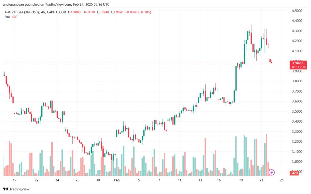 تحليل الغاز الطبيعي NATURAL GAS 24-2-2025