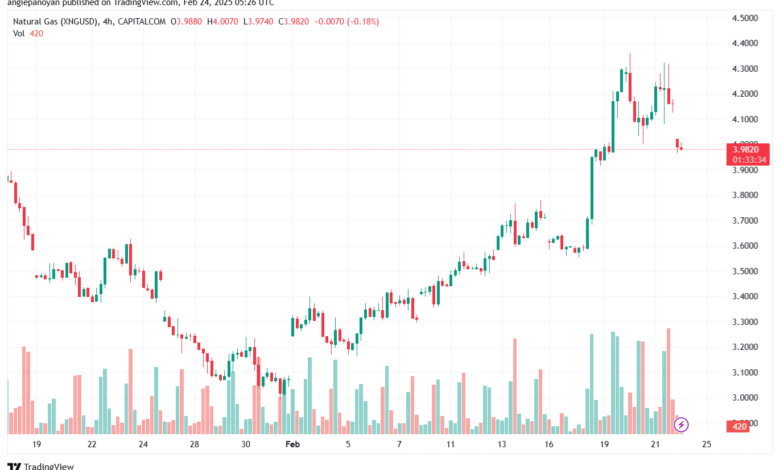 تحليل الغاز الطبيعي NATURAL GAS 24-2-2025