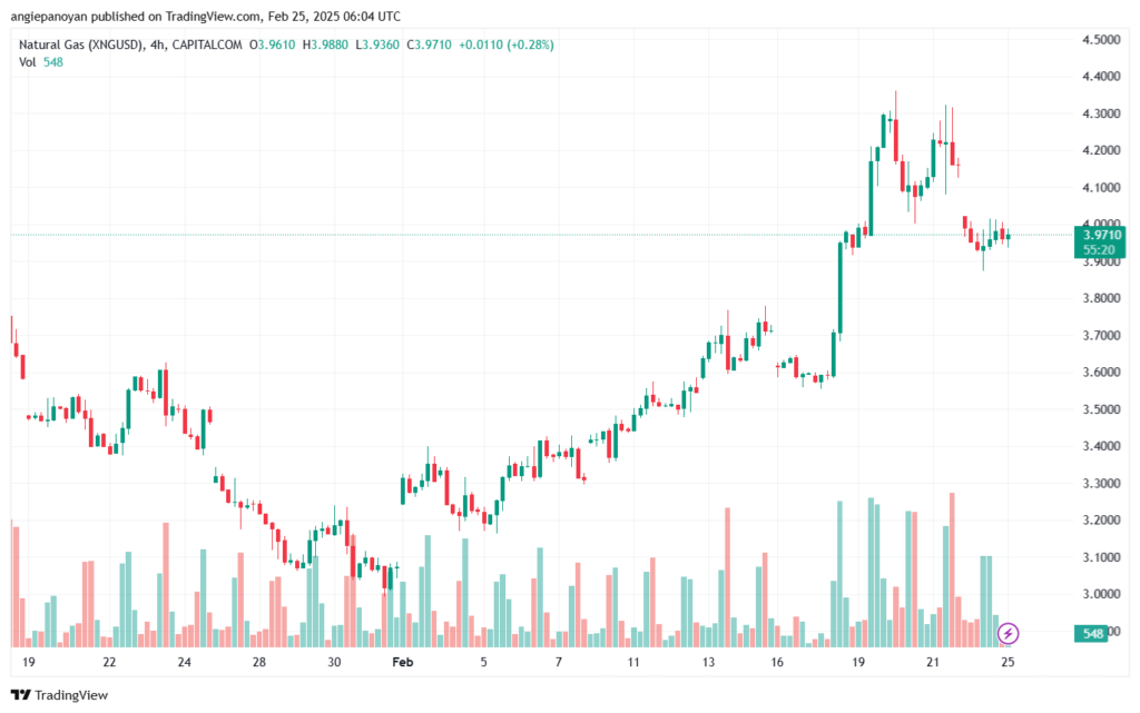 تحليل الغاز الطبيعي NATURAL GAS 25-2-2025