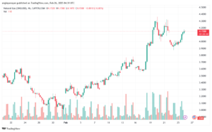 تحليل الغاز الطبيعي NATURAL GAS 26-2-2025