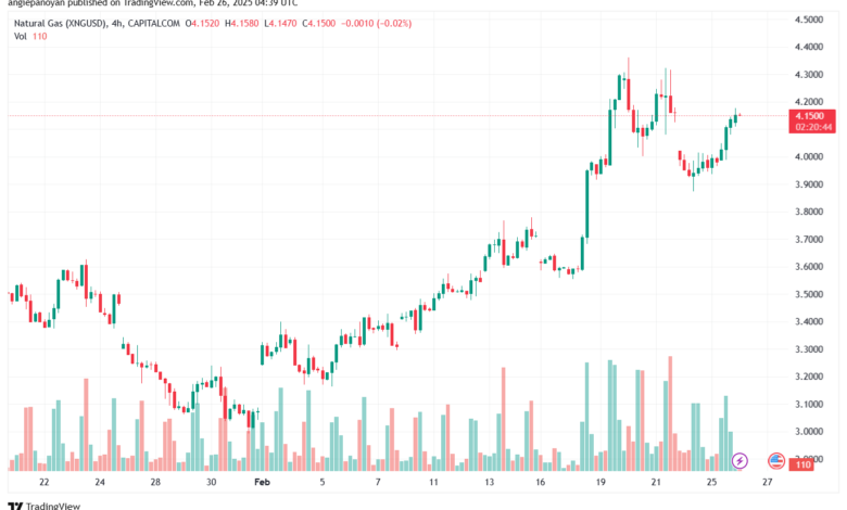 تحليل الغاز الطبيعي NATURAL GAS 26-2-2025