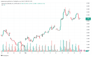 تحليل الغاز الطبيعي NATURAL GAS 27-2-2025