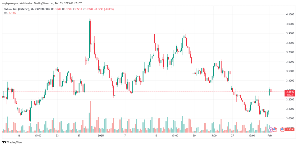 تحليل الغاز الطبيعي NATURAL GAS 3-2-2025