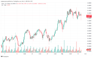 تحليل الفضة 11-2-2025 SILVER XAGUSD