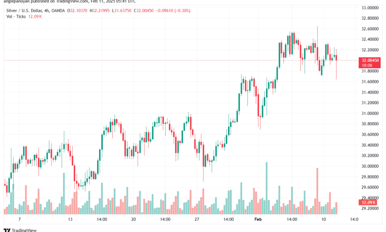 تحليل الفضة 11-2-2025 SILVER XAGUSD