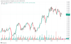 تحليل الفضة 12-2-2025 SILVER XAGUSD