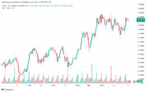 تحليل الفضة 13-2-2025 SILVER XAGUSD