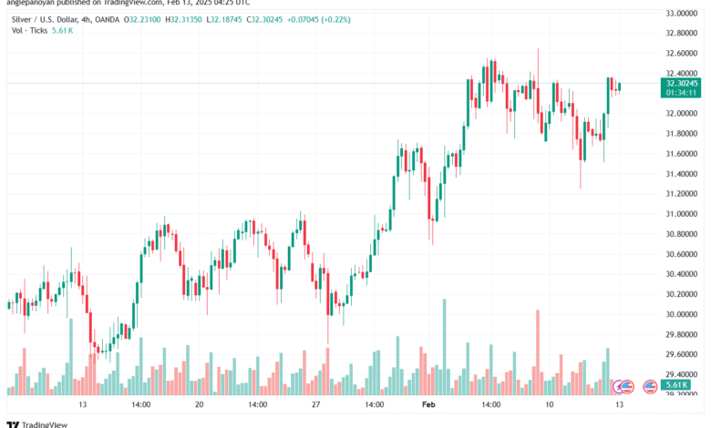 تحليل الفضة 13-2-2025 SILVER XAGUSD