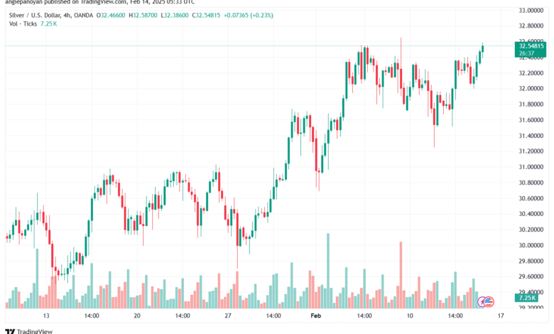 تحليل الفضة 14-2-2025 SILVER XAGUSD