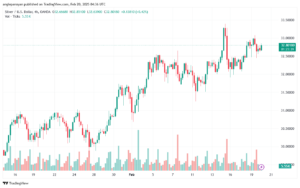 تحليل الفضة 20-2-2025 SILVER XAGUSD
