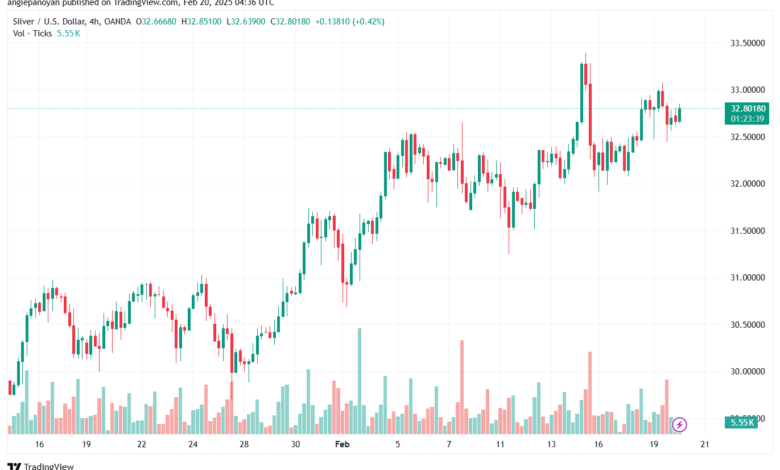 تحليل الفضة 20-2-2025 SILVER XAGUSD
