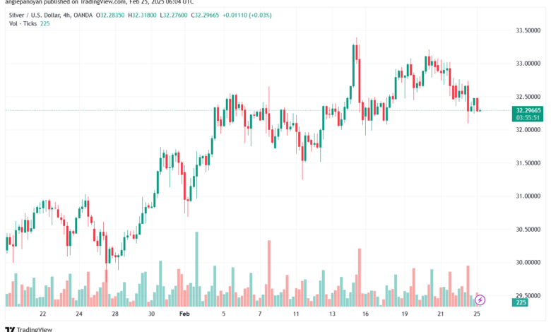 تحليل الفضة 25-2-2025 SILVER XAGUSD