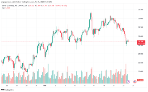 تحليل الفضة 26-2-2025 SILVER XAGUSD