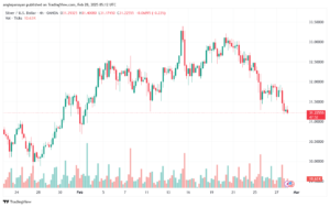 تحليل الفضة 28-2-2025 SILVER XAGUSD