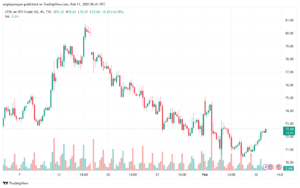 تحليل النفط CRUDE OIL -11-2-2025