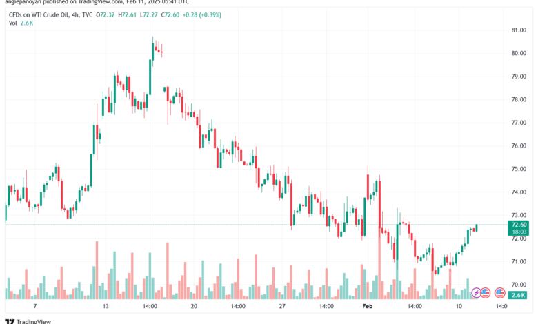 تحليل النفط CRUDE OIL -11-2-2025