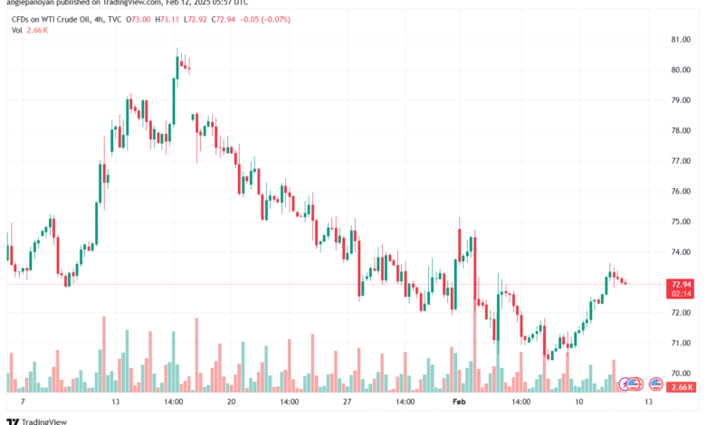 تحليل النفط CRUDE OIL -12-2-2025