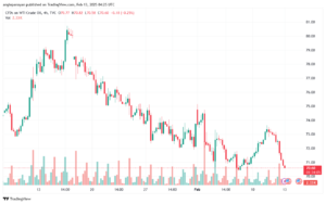 تحليل النفط CRUDE OIL -13-2-2025
