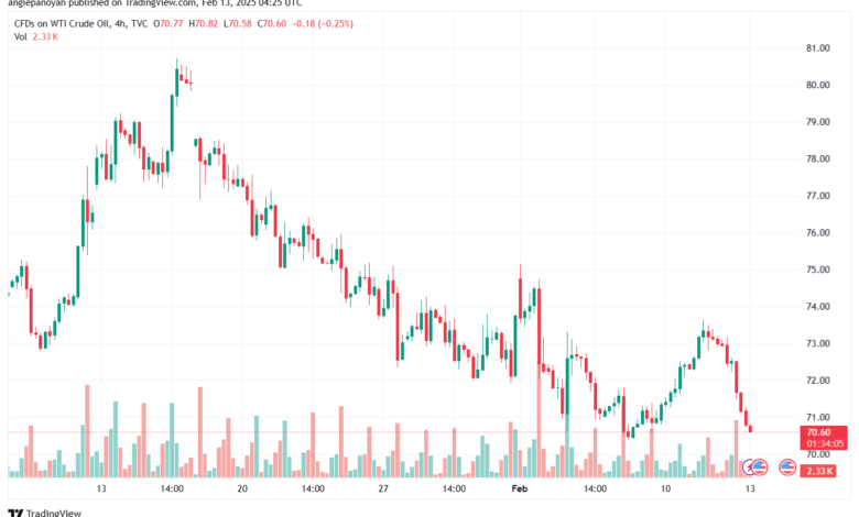 تحليل النفط CRUDE OIL -13-2-2025