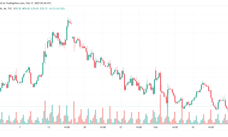 تحليل النفط CRUDE OIL -17-2-2025