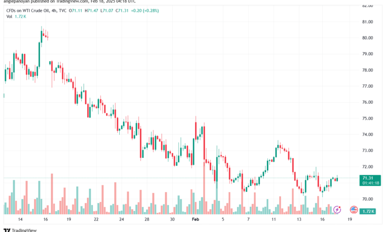 تحليل النفط CRUDE OIL -18-2-2025