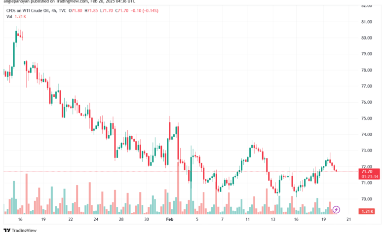 تحليل النفط CRUDE OIL -20-2-2025