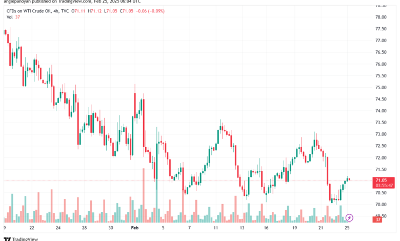 تحليل النفط CRUDE OIL -25-2-2025
