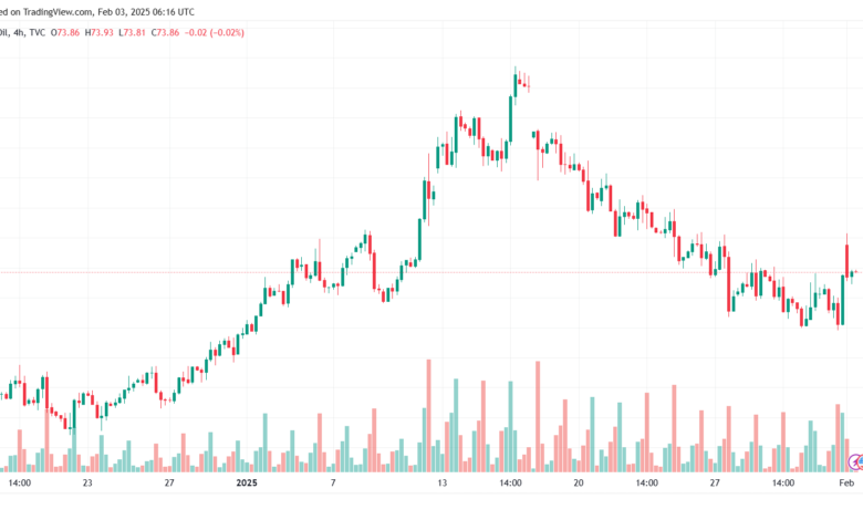 تحليل النفط CRUDE OIL -3-2-2025