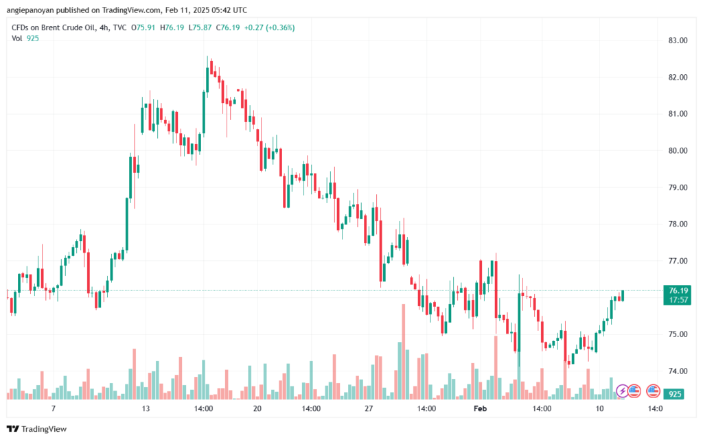 تحليل خام 11-2-2025 BRENT OIL