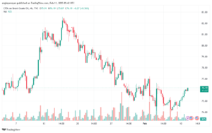 تحليل خام 11-2-2025 BRENT OIL
