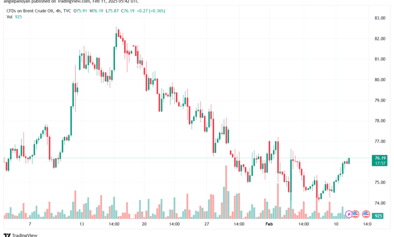 تحليل خام 11-2-2025 BRENT OIL