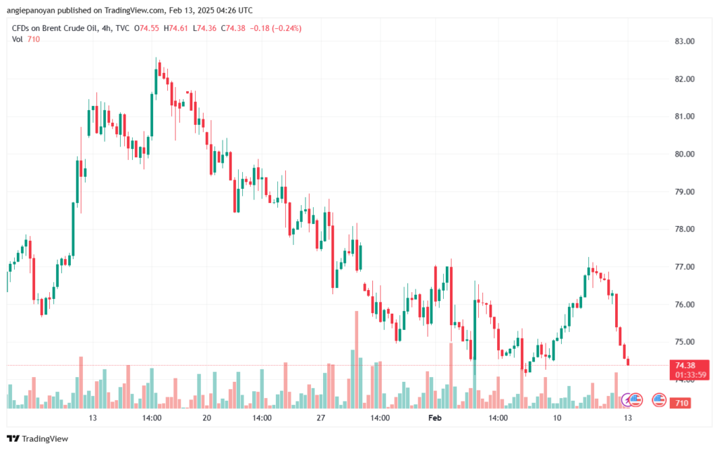 تحليل خام 13-2-2025 BRENT OIL