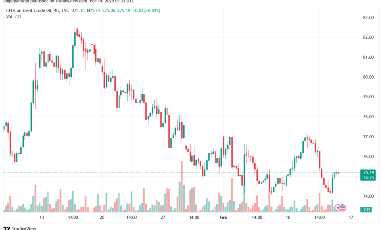 تحليل خام 14-2-2025 BRENT OIL
