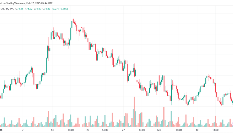 تحليل خام 17-2-2025 BRENT OIL