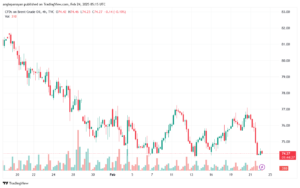 تحليل خام 24-2-2025 BRENT OIL