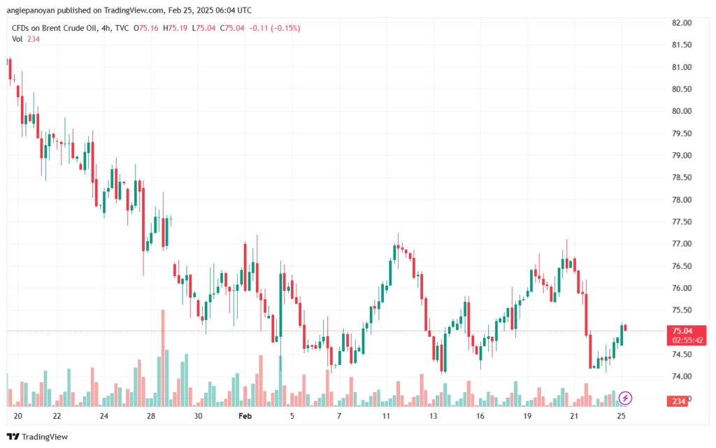 تحليل خام 25-2-2025 BRENT OIL