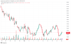 تحليل خام 25-2-2025 BRENT OIL